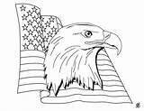 Coloriage Vlag Bald Flagge Amerikanische Drapeau Ausmalbilder Aigle Kleurplaat Symbole Americain Imprimer Dag Coloriages Unis Etats Colorier Flaggen Soldat Amerikaanse sketch template