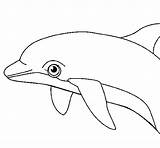 Dolphin Coloring Sea sketch template