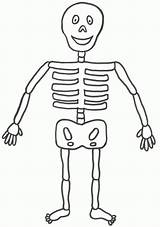 Skeleton Coloring Kids Halloween Pages Printable Simple Human Template Bones Easy Clipart Crafts Body Large Color Cute Esqueleto Print Humano sketch template