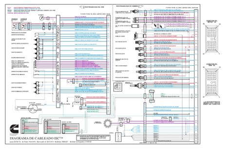 cat  wiring diagram