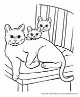 Cat Coloring Pages Pet Printable Kids Honkingdonkey Family Print Color Pets sketch template