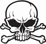 Skull Pirate Crossbones sketch template