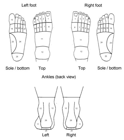 The Areas Used For Scoring Of The Foot Pain Manikin Download