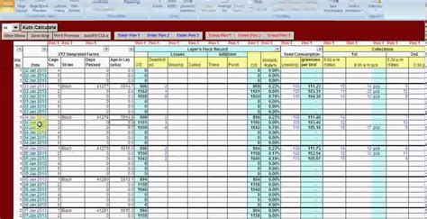 Excel Vb Driven Poultry Layer Farm Manager Software Video