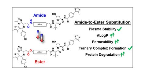 amide  ester substitution   strategy  optimizing protac permeability  cellular