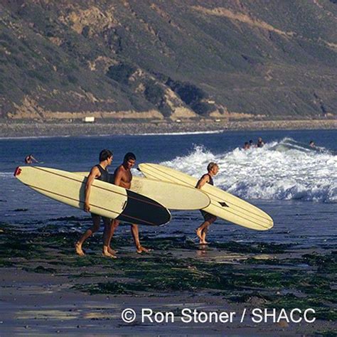58 best miki dora images on pinterest surfs surf and