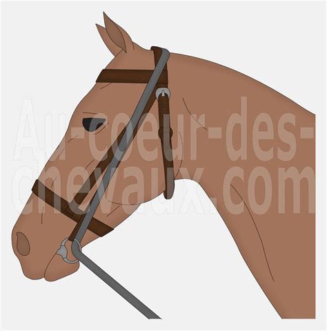 horses head  bridle  reins