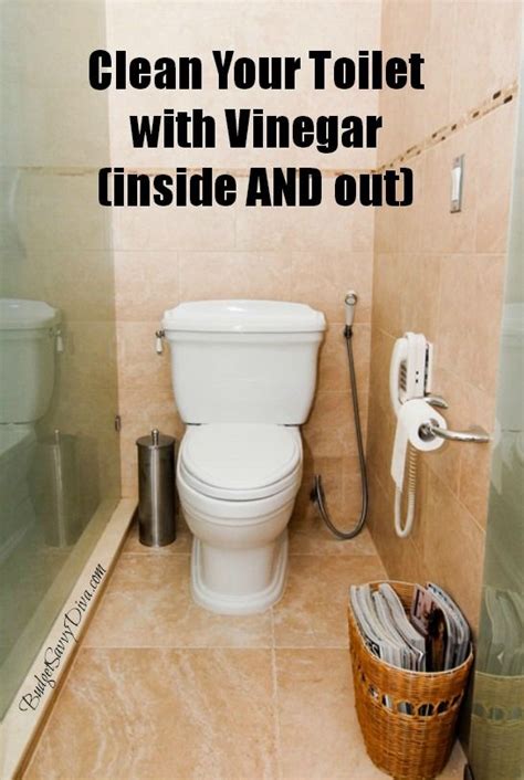 toilets vinegar  cleanses  pinterest