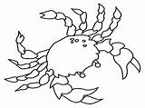 Crab Coloring Pages Horseshoe Clipart Printable Outline Fiddler Sebastian Color Getcolorings Drawing Fabulous Getdrawings sketch template