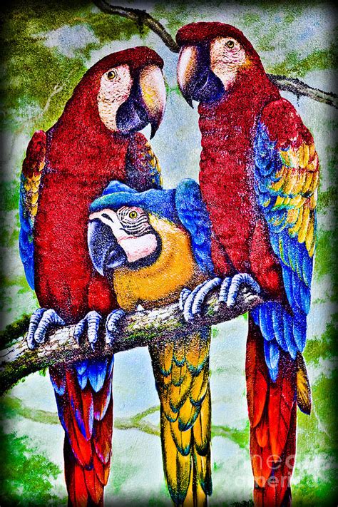 parrot power photograph  gary keesler fine art america