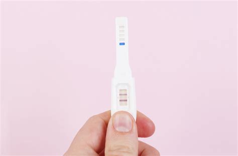 what is ovulation everything you need to know about ovulation