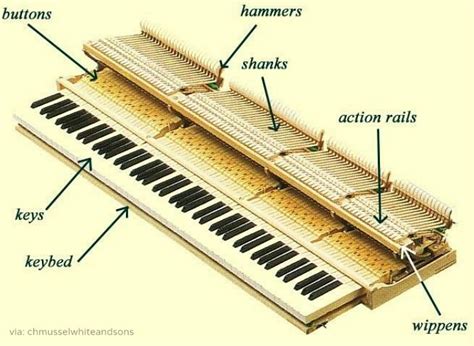 piano parts images  pinterest piano art piano keys  piano