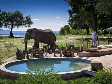 stunning  safari lodges  add   bucket list jetsetter safari lodge  safari