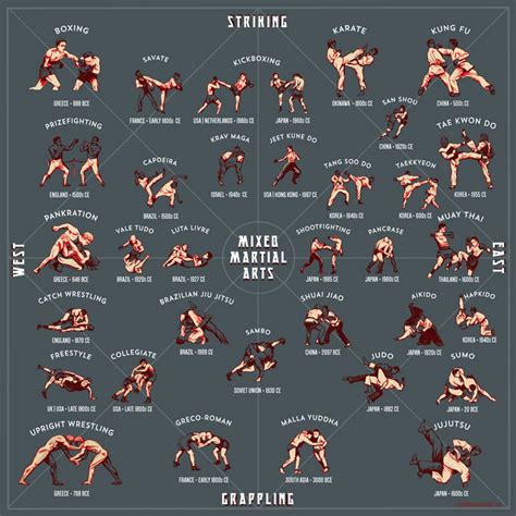 chicagoan creates illustrated guide  martial arts styles chicagos mma