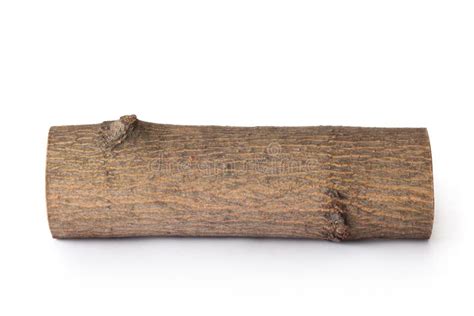 single log stock photo image  single lumber bark