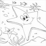 Starfish sketch template