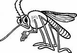 Dengue Mosquito Moustique Nyamuk Mewarnai Zika Coloriage Serangga Aedes Aegypti Pintar Vírus Insetos Mosquitos Gravuras Branco Fofo Coloriri sketch template