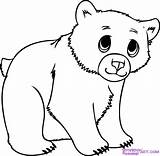 Bear Drawing Cub Polar Easy Draw Coloring Clipart Cartoon Cubs Baby Drawings Animals Choose Board sketch template