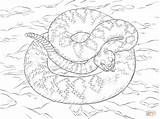 Rattlesnake Diamondback Serpente Klapperschlange Ausmalbild Diamant Cascavel Copperhead Anaconda Serpent Sonagli Diamanten Mamba Snakes Diamante Supercoloring Android Version Designlooter Compatible sketch template