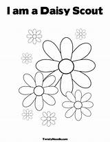 Daisy Scouts Twisty Noodle Lupe Freewallpapers Petal Coloringhome sketch template