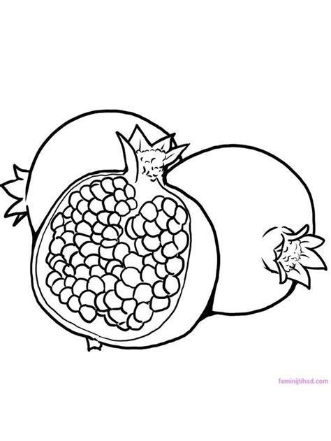 pomegranate coloring pictures  doesnt  pomegranates