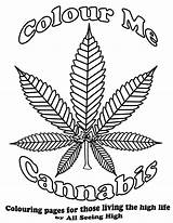 Coloring Pages Hemp Color Chronic Cannabis Behind Story Printable Getcolorings Getdrawings sketch template