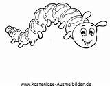 Raupe Ausmalbild Raupen Ausdrucken Ausmalen Wuermer Malvorlagen Würmer sketch template