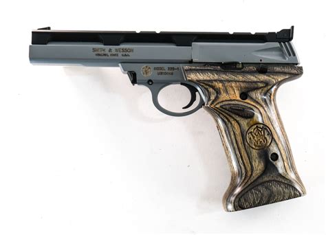 smith wesson  lr pistol ct firearms auction hot sex picture