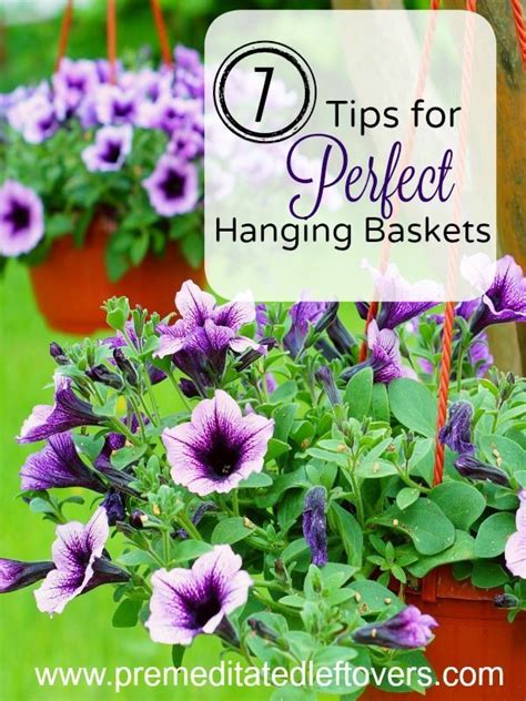 tips  creating perfect hanging baskets hanging flower baskets