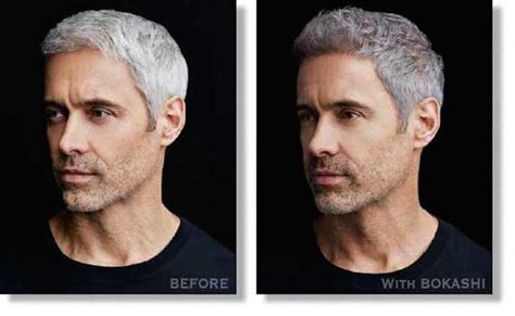 Get A Perfectly Blended Gray Or Salt And Pepper Hair Look