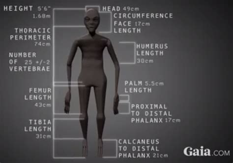 nazca mummy upright — truth has no agenda