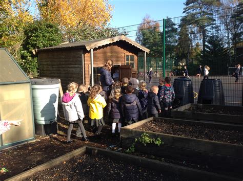 outdoor classroom day in rps class ferndown first school