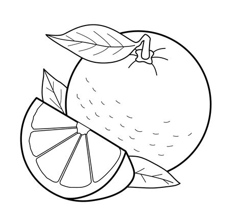 orange coloring page fruit coloring pages food coloring pages