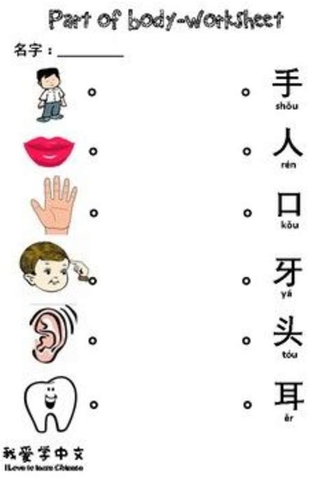 chinese  activity  grade      exercises