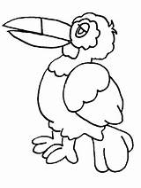Toucan Coloriage Papiga Dibujo Pappagalli Tucan Tucano Uccelli Vogel Perroquets Bojanke Tucanes Cartoon Cuervo Crtež Verschiedene Zivotinje Calcar Snowy Bojanje sketch template