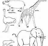 Coloring Animals Savanna African Pages Color Printable Grassland Getcolorings Getdrawings Found Colorings sketch template