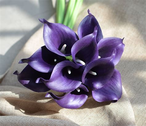 10 Eggplant Calla Lilies Dark Purple Real Touch Calla Lily Etsy Uk