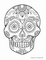 Skull Pages Coloring Anatomy Getcolorings sketch template