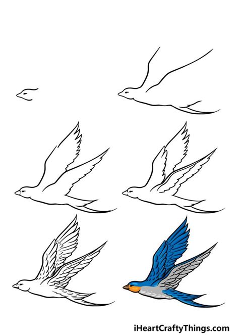 flying bird drawing   draw  flying bird step  step