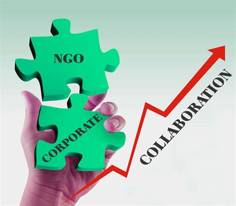 corporate ngo collaboration partnership centre  advancement  philanthropy