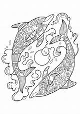Dolphins Coloring Pages Adults Two Adult Ocean Animals sketch template