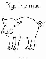Coloring Mud Pigs Pig Matthew Wilbur Bennett Favorites Login Add Twistynoodle 1kb sketch template