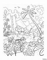 Coloring Rainforest Jungle Drawing Kids Animals Plants Jardim Colorir Para Encantado Desenhos Easy Draw Imprimir Desenho Drawings Painting Da Google sketch template