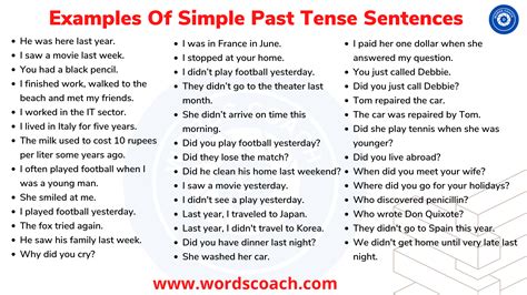 examples  simple  tense sentences word coach