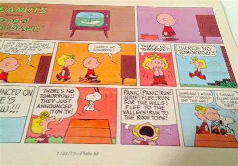 Sally Brown Charlie Brown Comic Strip Peanuts Television Etsy