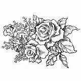 Bunch Roses Drawing Rose Bouquet Flower Drawings Digi Stamps Paintingvalley sketch template