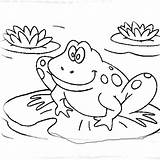 Frogs Speckled Coloring Five Drawing Template Cartoon sketch template