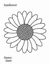 Sunflower sketch template