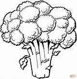 Coloring Broccoli Pages Printable Drawing sketch template