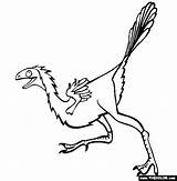 Caudipteryx Prehistoric Thecolor sketch template